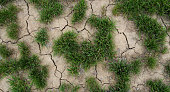 Drought.  Dry earth with cracks and clumps of grass.