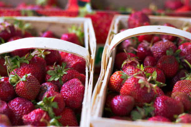 istock Picked ripe red strawberries in wooden crates 943797946