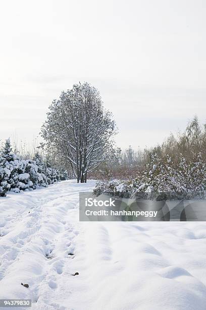 Wiejska Droga W Śniegu Prowadzi Do Drzewa - zdjęcia stockowe i więcej obrazów Bez ludzi - Bez ludzi, Biały, Burza śnieżna