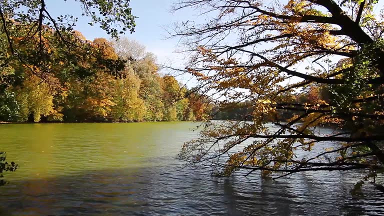 autumn lake in the park