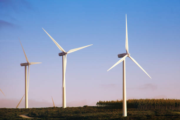 Three wind turbines in a row, sustainable energy, sunset background. Galicia, Spain.