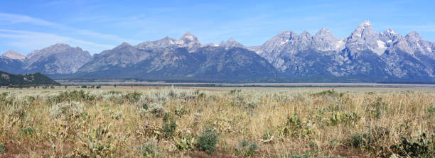 istock panoramic of Grand Teton range in morning light 943837748
