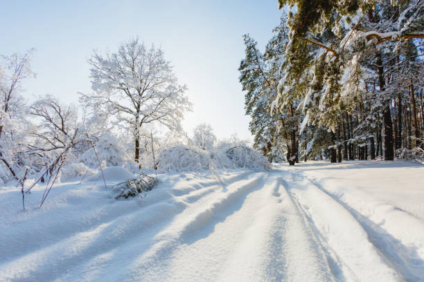 istock Beautiful winter landscape at the morning 943844930