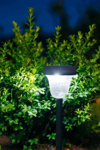 istock Small Solar Garden Light, Lantern In Flower Bed. Garden Design. Solar Powered Lamp 943845184