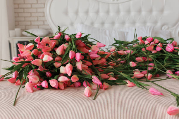 Pink beautiful wedding tulips on classic bed, close up.