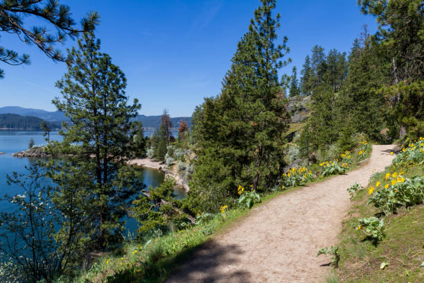 istock Hiking tubs hill, CDA Idaho 943848016