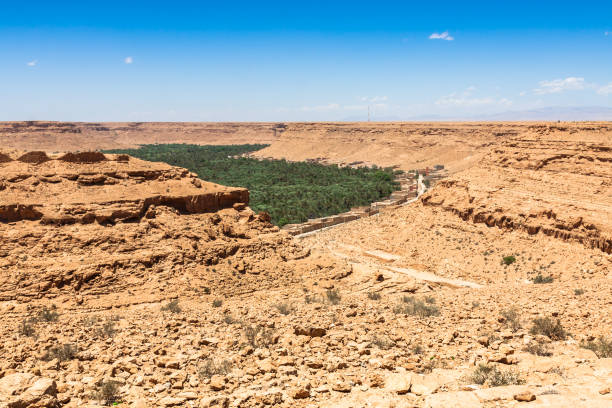 istock Cultivated fields and palms in Errachidia Morocco North Africa Africa 943848544