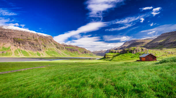 Small cottage on green meadow in Iceland