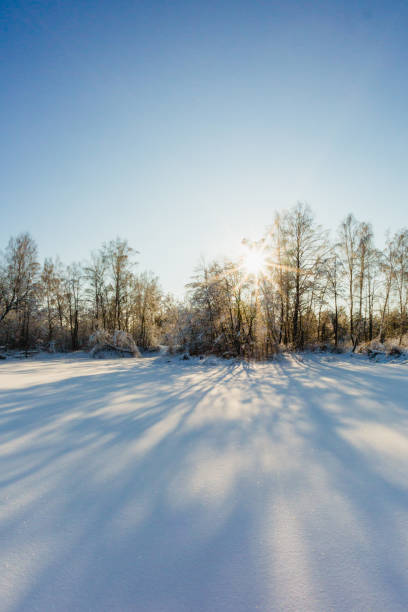 istock Beautiful winter landscape at the morning 943851214