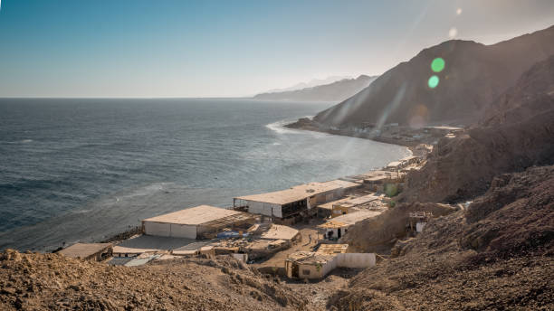 istock Sinai nature and wildlife 943851306