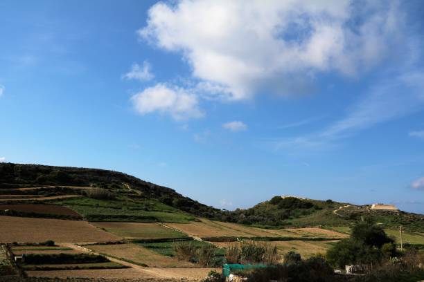 istock Farming and agriculture in Malta 943854932