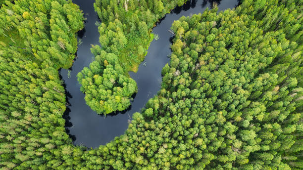 aerial view on the forest and river. beautiful natural landscape at the summer time - russia river landscape mountain range imagens e fotografias de stock