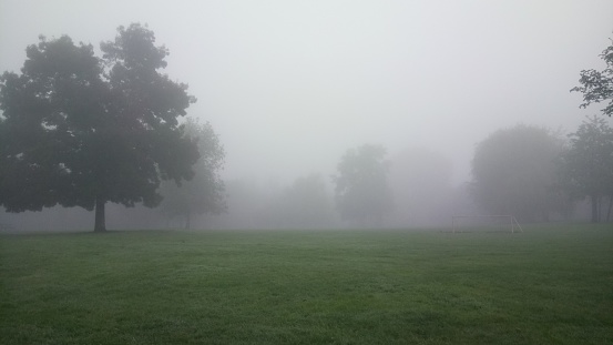Fog clouds the horizon in Etruria Park, Staffordshire