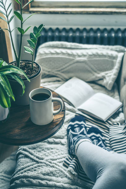 istock Young woman enjoying coffee and relaxing on a sofa with a book 943859956