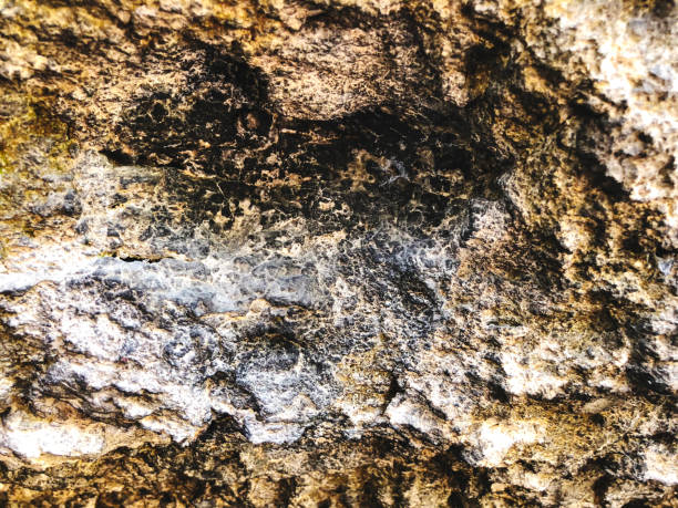 istock Patterns and textures of rocks in nature. 943863188
