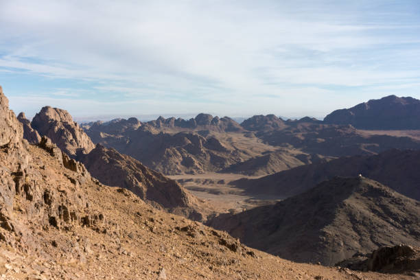 istock Sinai nature and wildlife 943866392