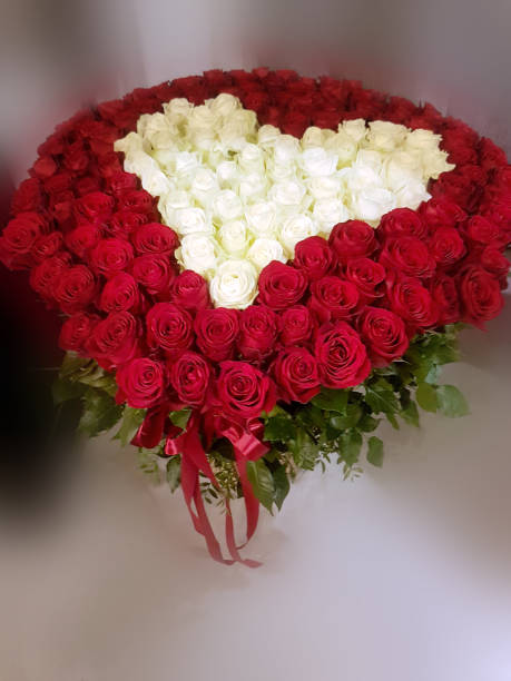 Photo libre de droit de Un Grand Bouquet De Roses Rouges Et Blanches En Forme  De Coeur Sur Fond Clair Floue Un Cadeau Le Jour De La Saintvalentin Le 14  Février banque