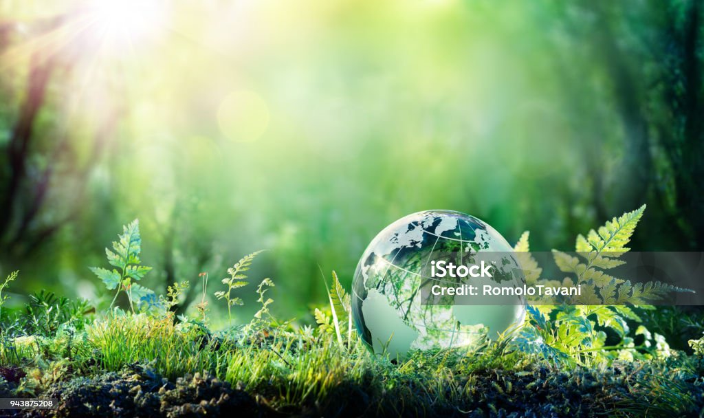 Globe On Moss In Forest - Environment Concept Green Globe On Moss - Environmental Concept Sustainable Resources Stock Photo