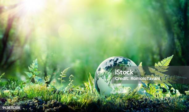 Globe On Moss In Forest Environment Concept Stock Photo - Download Image Now - Sustainable Resources, Environmental Conservation, Environment