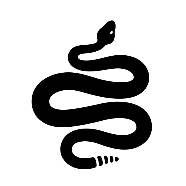 Black rattlesnake silhouette Black and white rattlesnake drawing. Simple snake silhouette, isolated vector clip art illustration. Tattoo design. snake stock illustrations