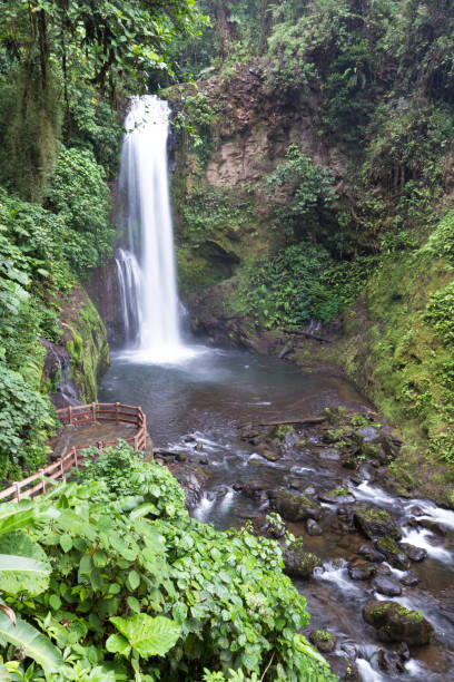 istock waterfalls in the jungle 943888004