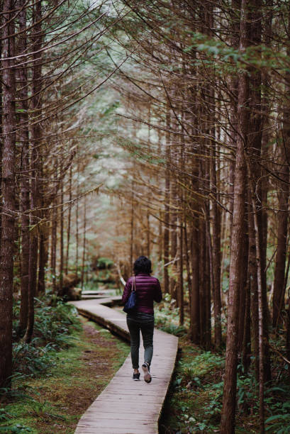 istock Young woman walking along a path in the forest 943897662