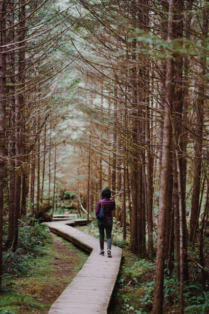 istock Young woman walking along a path in the forest 943897706