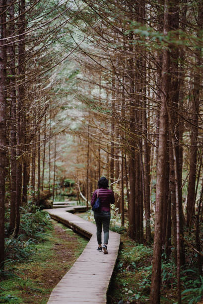 istock Young woman walking along a path in the forest 943897734
