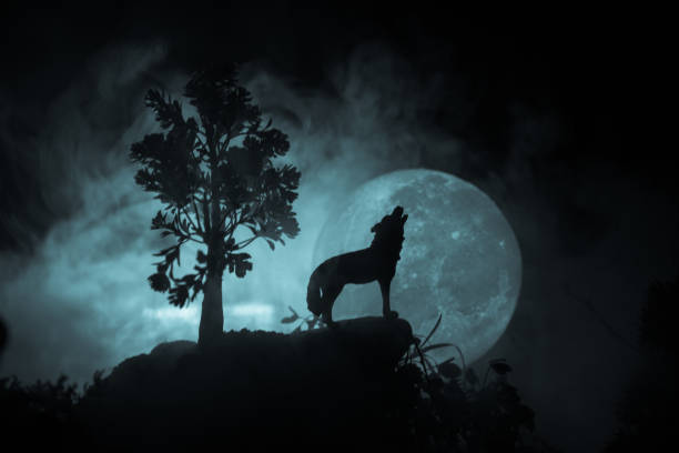 Silhouette of howling wolf against dark toned foggy background and full moon or Wolf in silhouette howling to the full moon. Halloween horror concept. stock photo