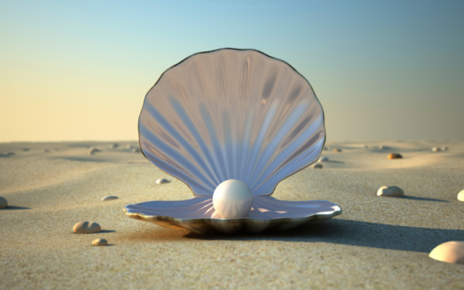 an open sea shell with a pearl surrounded by air bubbles