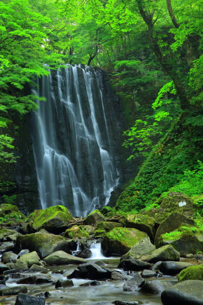 istock Kameda immobile waterfall in the summer 943913750