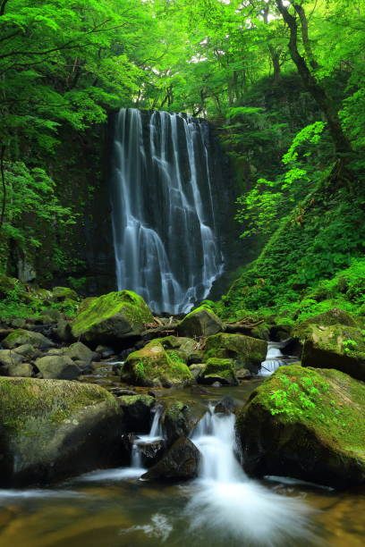 istock Kameda immobile waterfall in the summer 943914412