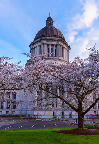 Washington State Capitol campus is one of the most beautiful places in Olympia, WA.