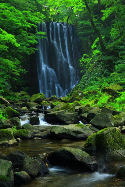 istock Kameda immobile waterfall in the summer 943922502
