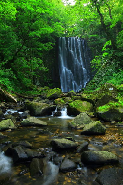 istock Kameda immobile waterfall in the summer 943923598