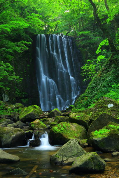 istock Kameda immobile waterfall in the summer 943923646