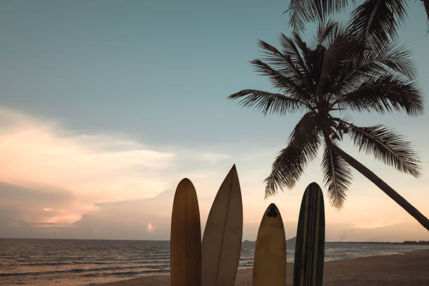 istock surfboard on tropical beach at sunse 943925162