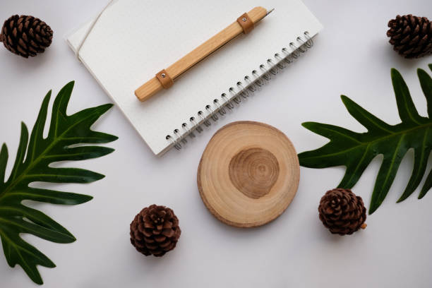 lat lay natural product concept , copy space. creative layout . organic frame . top view. isolated. hipster minimal style with nature background.