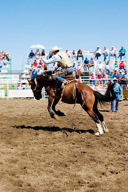 A man riding a horse in a ring for an audience stock photo