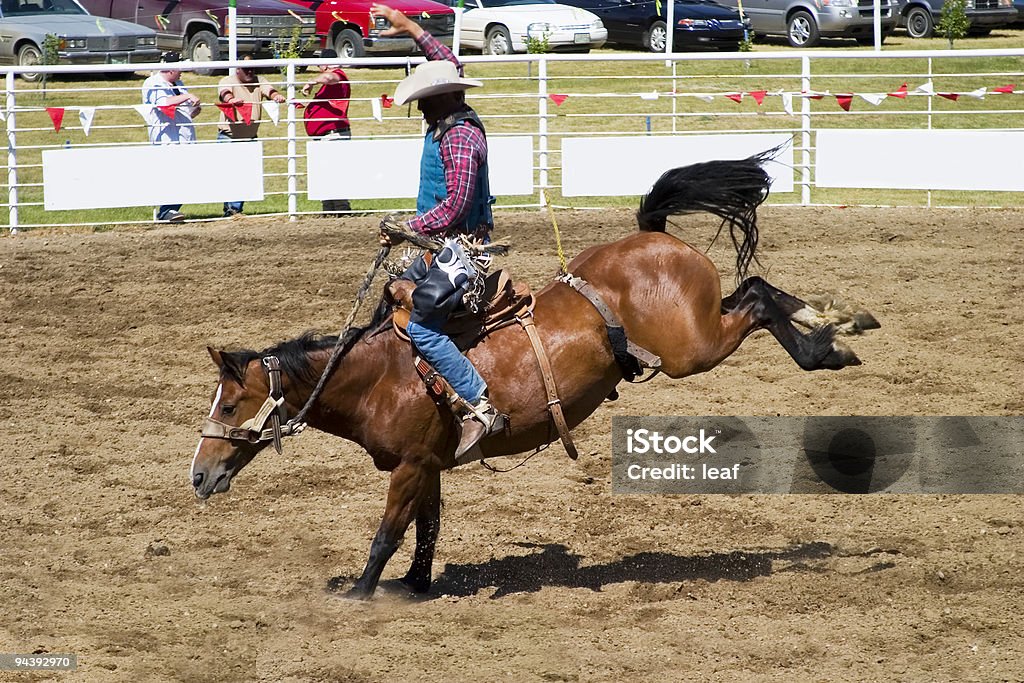 Saddle Bronc - Foto de stock de Sela royalty-free