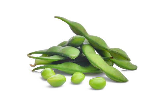 枝豆の緑や白い背景の分離大豆 - soybean bean edamame pod ストックフォトと画像