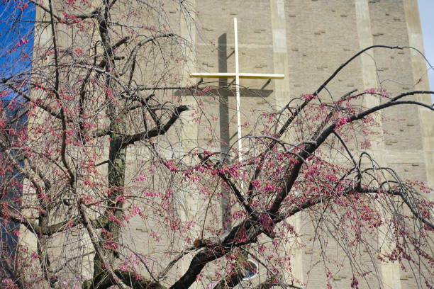 istock Cherry blossoms with church 943931634