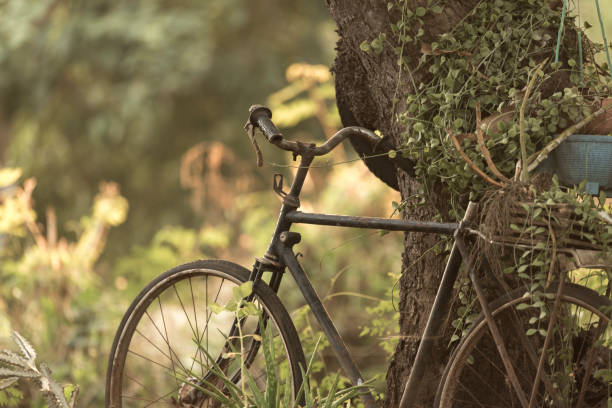 istock The old bike 943933036
