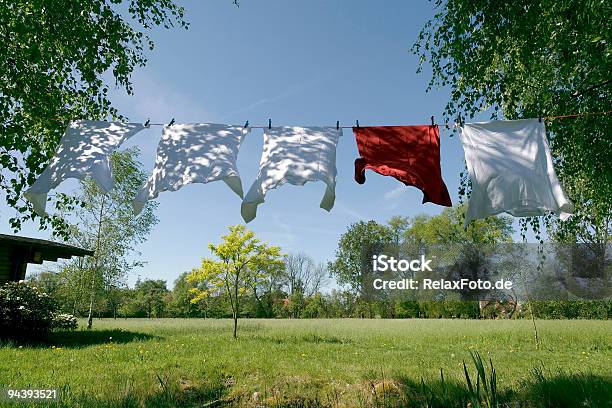 Wäscheleine Mit Tshirts Blowing In Wind Zwischen Bäumen Stockfoto und mehr Bilder von Niemand