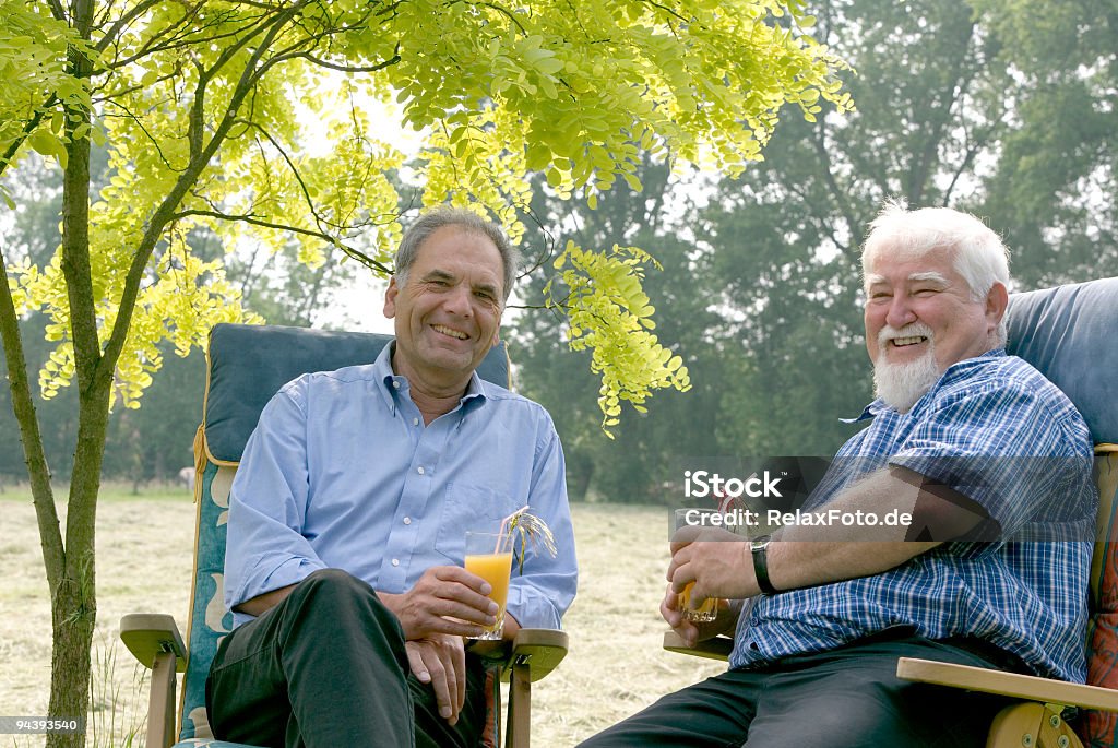 Dois homens idosos com sumo de laranja sentado na árvore (XXL - Royalty-free 60-69 Anos Foto de stock