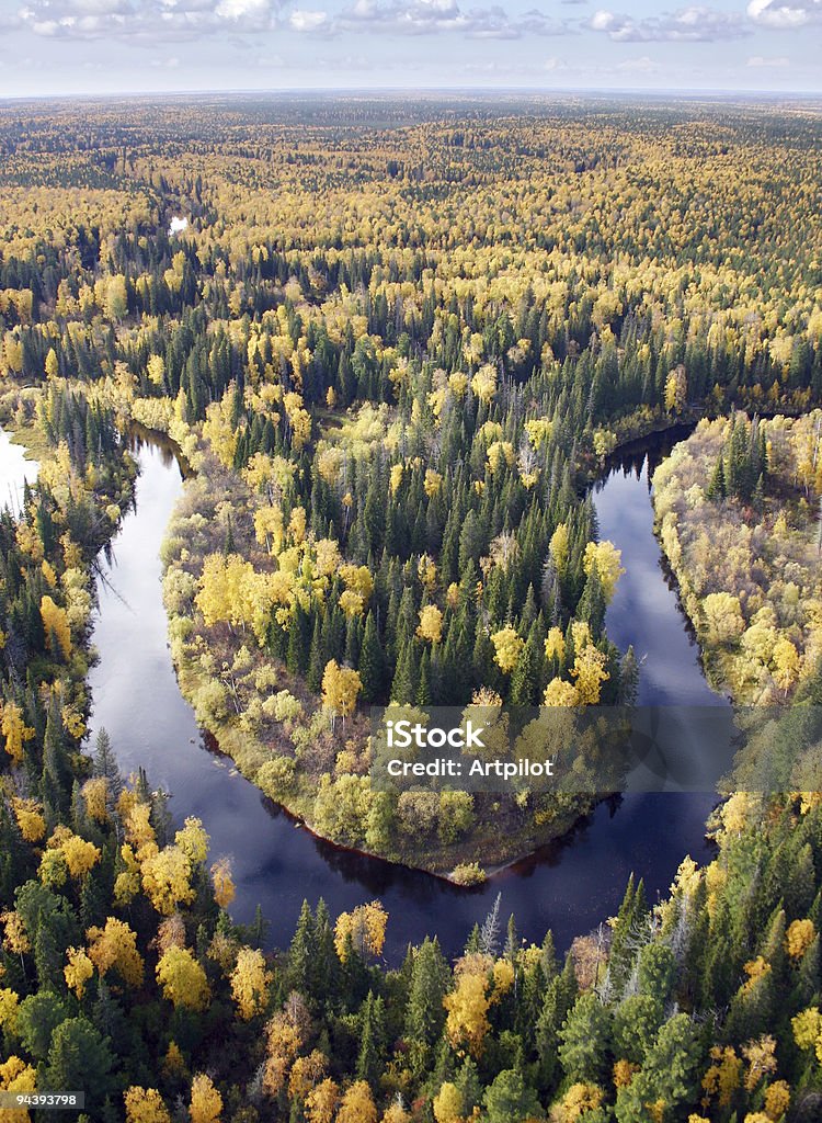 Осенний лес - Стоковые фото Без людей роялти-фри