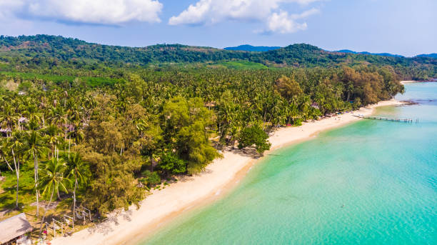istock Aerial view with sea and beach 943938940