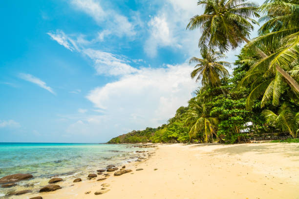 istock Beautiful paradise island with beach and sea 943939066
