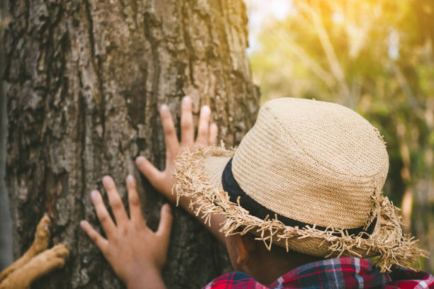 istock Children who love the forest. 943939324
