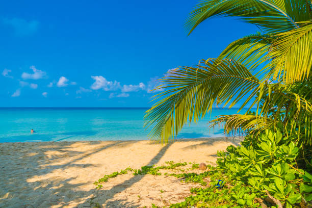 istock Beautiful tropical beach and sea 943939332